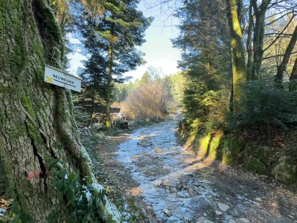 Un groupement forestier interdit l’accès à des chemins de randonnée dans les Vosges