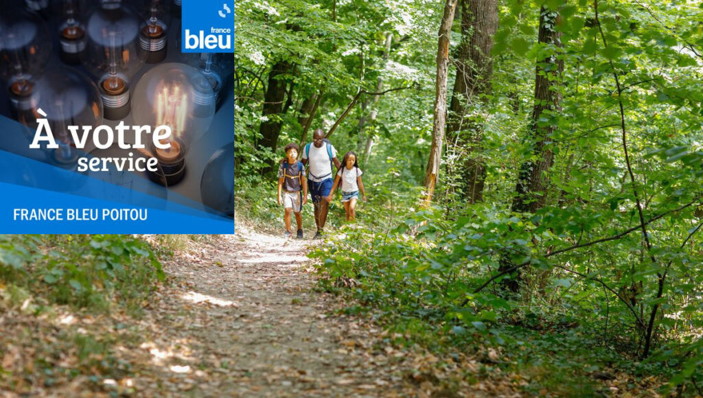 France Bleu : Peut-on encore se balader en forêt, sans risquer une amende ?